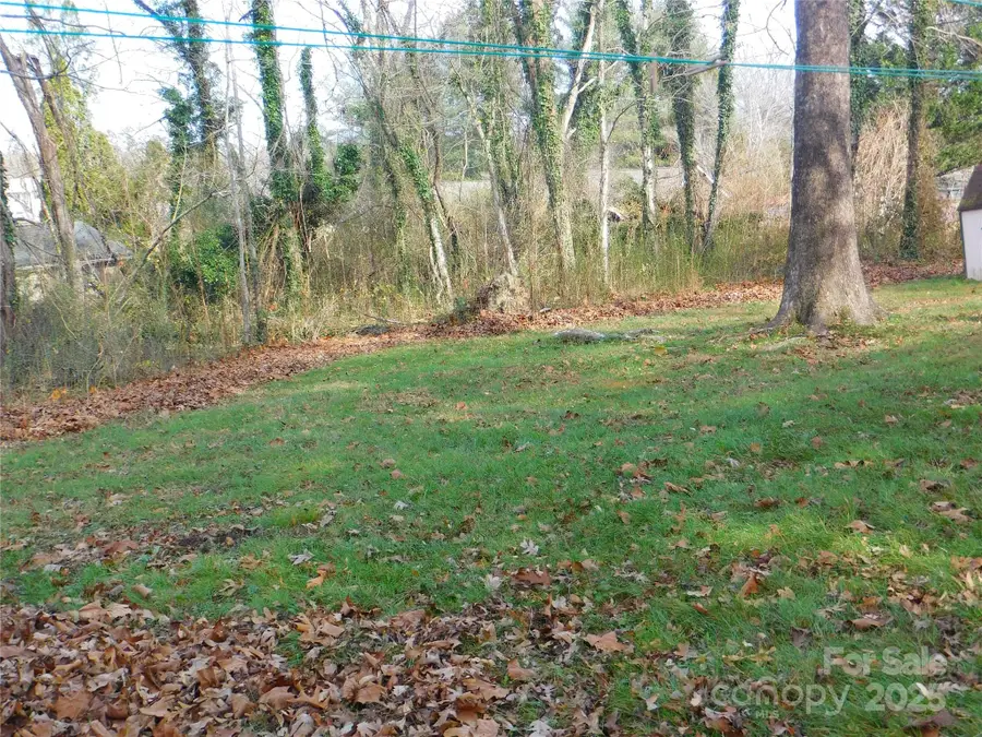 0 Vance Street, Hendersonville, NC 28739 - Image #2