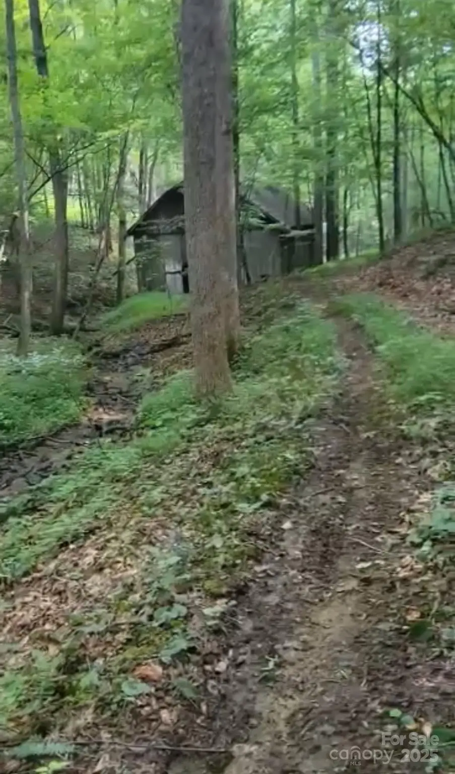 295 Bennett Branch Road, Green Mountain, NC 28740 - Image #1