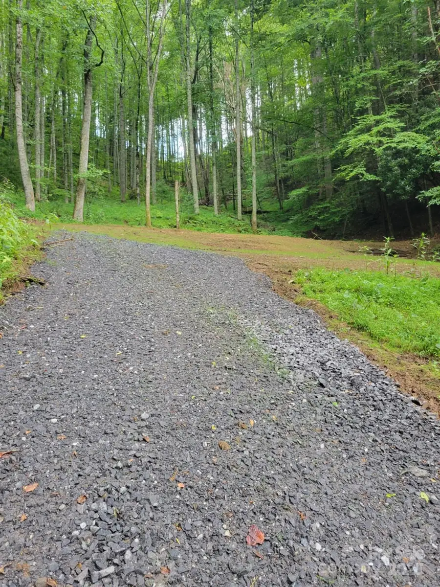 295 Bennett Branch Road, Green Mountain, NC 28740 - Image #2