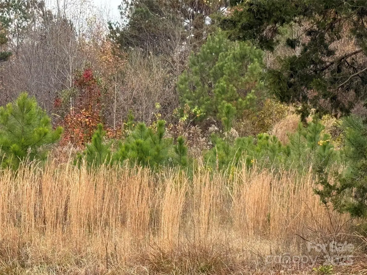 13315-3 Ramah Church Road, Huntersville, NC 28078 - Image #1