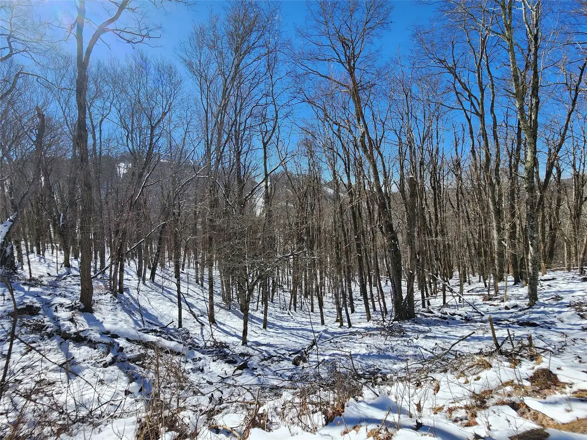 479 El Miner Drive, Mars Hill, NC 28754 - Image #1