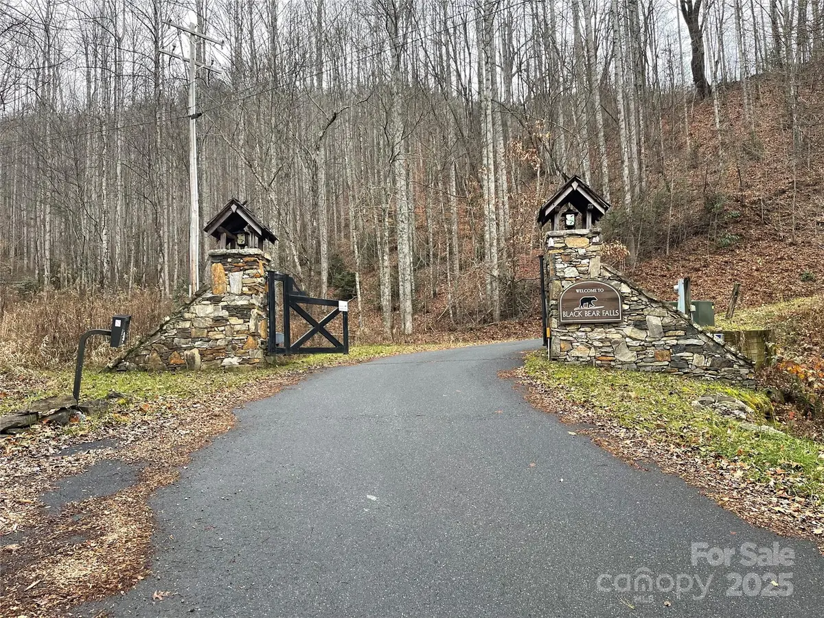 805 Sparkling Falls Road, Whittier, NC 28789 - Image #1
