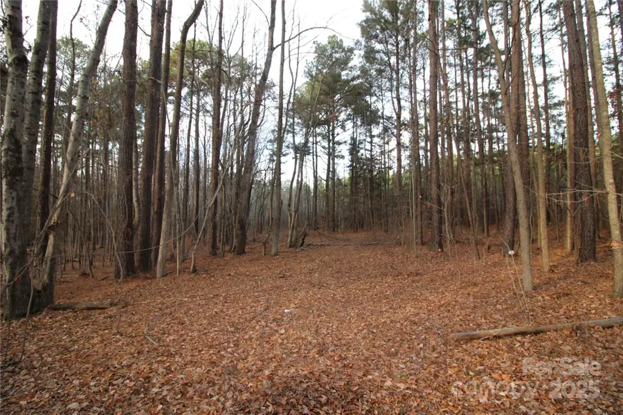 Lot 1 14.5+/-AC Pioneer Road, York, SC 29745 - Image #2