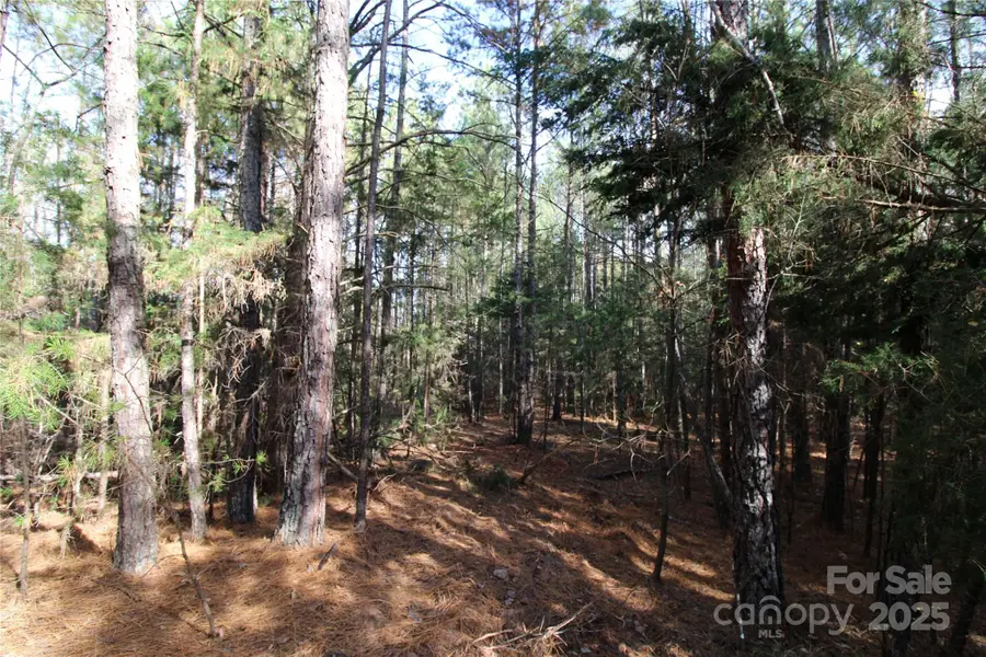 Lot 2 5+/-AC Bookout Road, Rock Hill, SC 29730 - Image #2