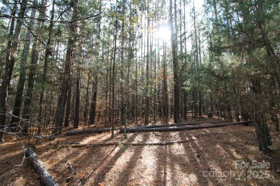 Lot 2 5+/-AC Bookout Road, Rock Hill, SC 29730 - Image #3