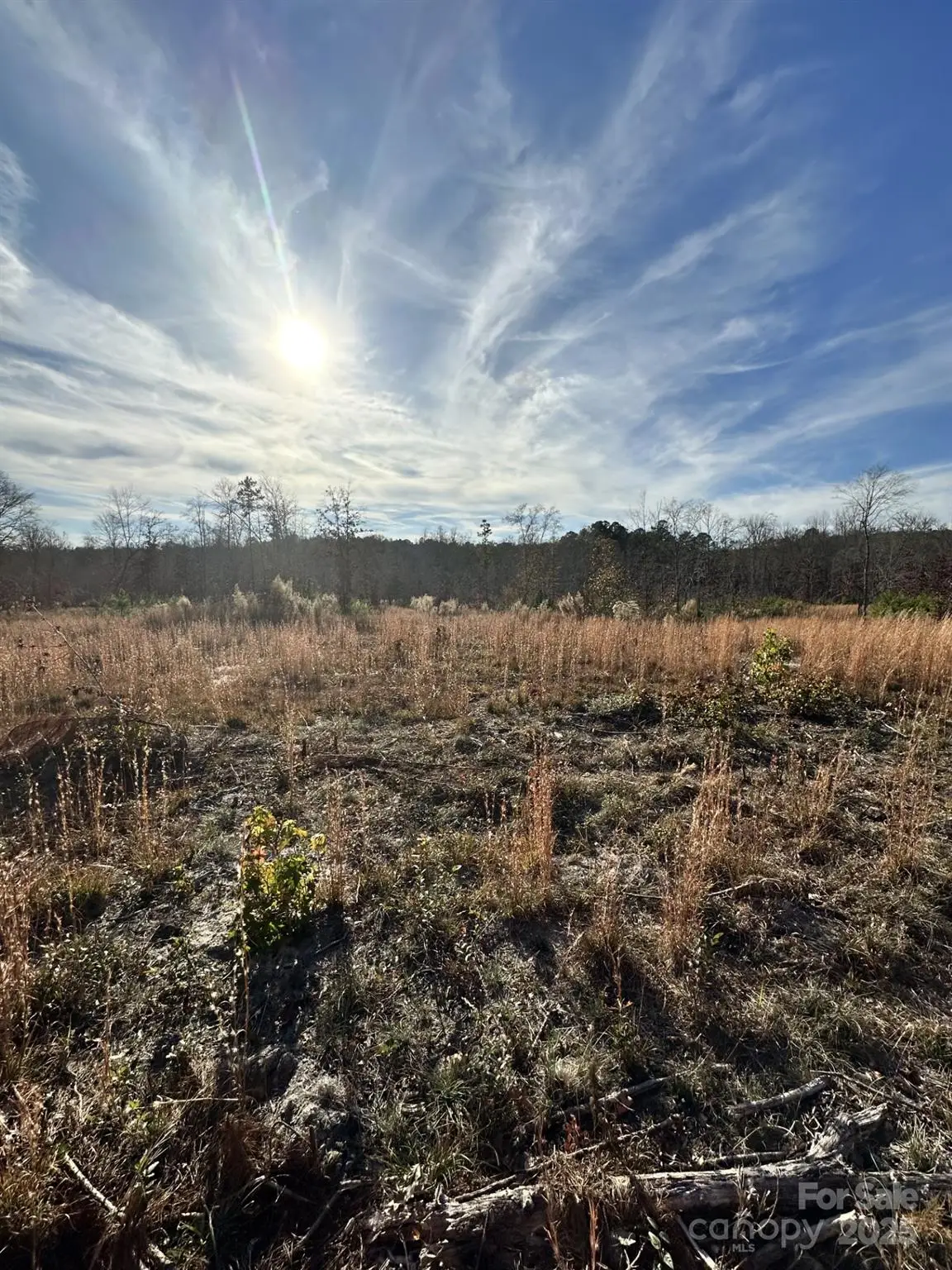 2211 Bottom Drive, Chester, SC 29706 - Image #1