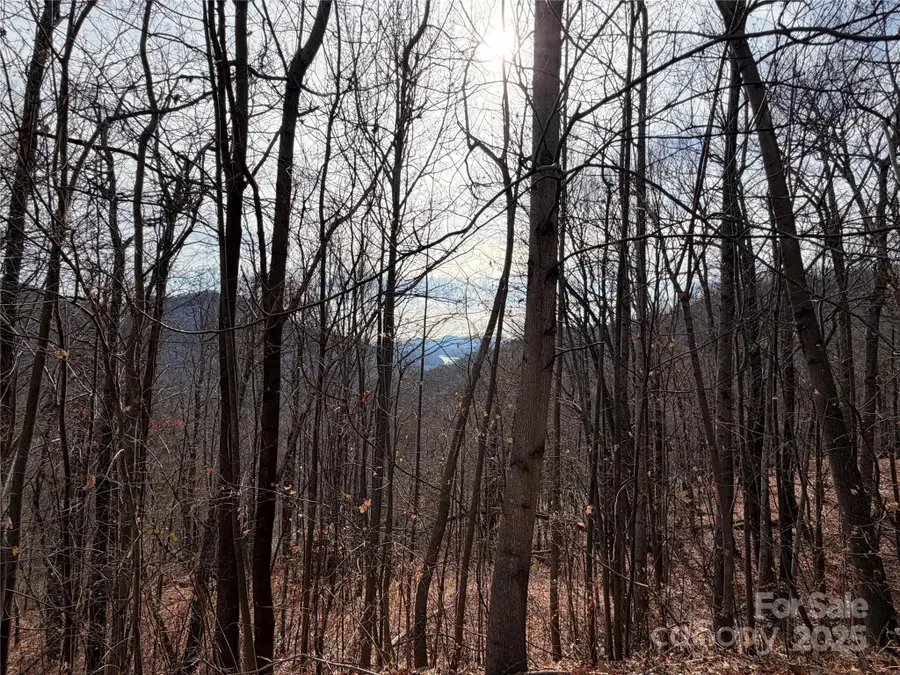 Lot 375 Rolling Ridge Trail, Lake Lure, NC 28746 - Image #2