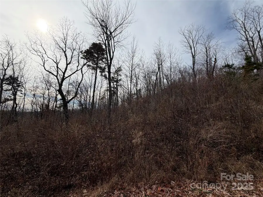 Lot 375 Rolling Ridge Trail, Lake Lure, NC 28746 - Image #3