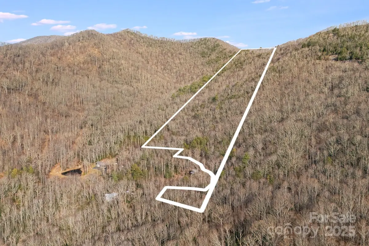 99999 Walker Mountain Lane, Black Mountain, NC 28711 - Image #1