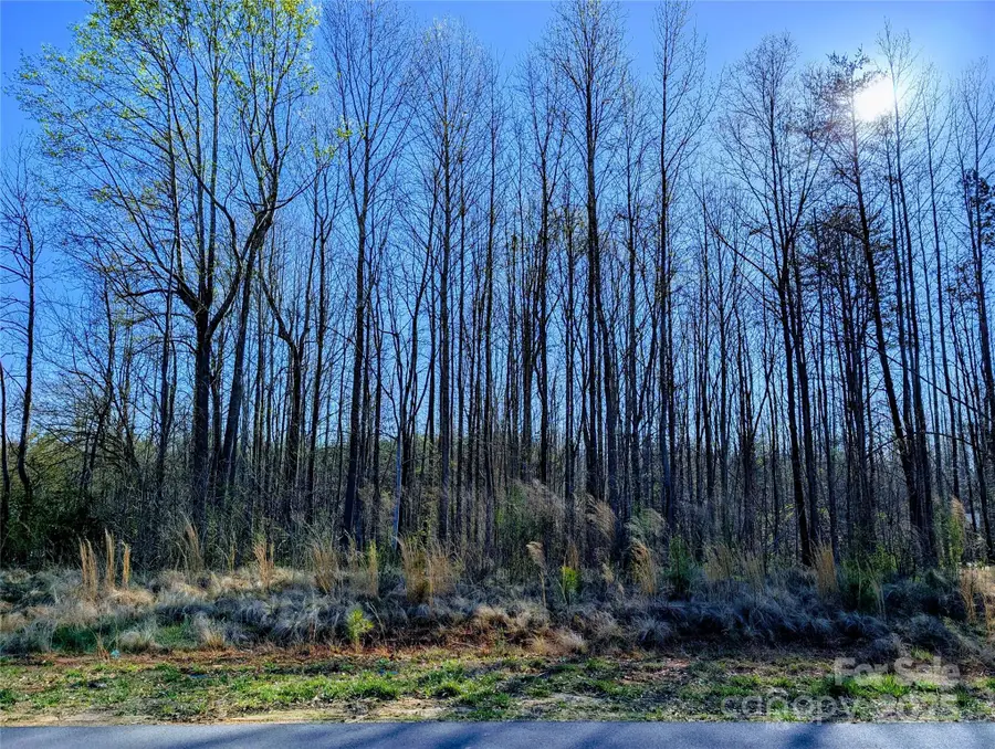 4255 Brandy Creek Court, Clover, SC 29710 - Image #2