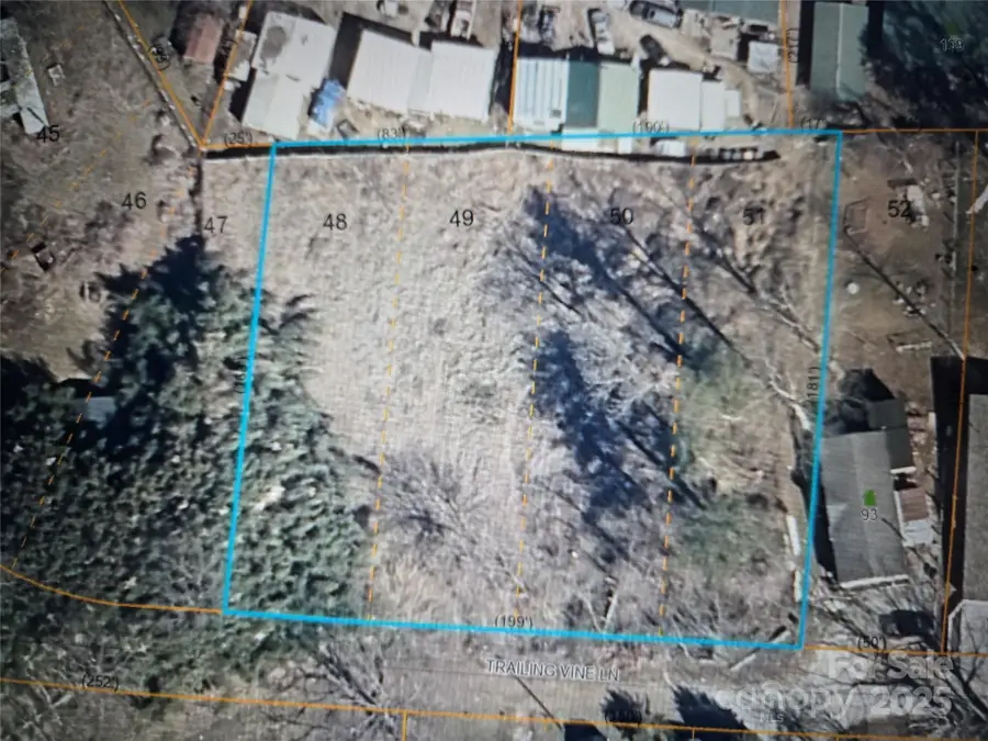 73 Trailing Vine Lane, East Flat Rock, NC 28726 - Image #3