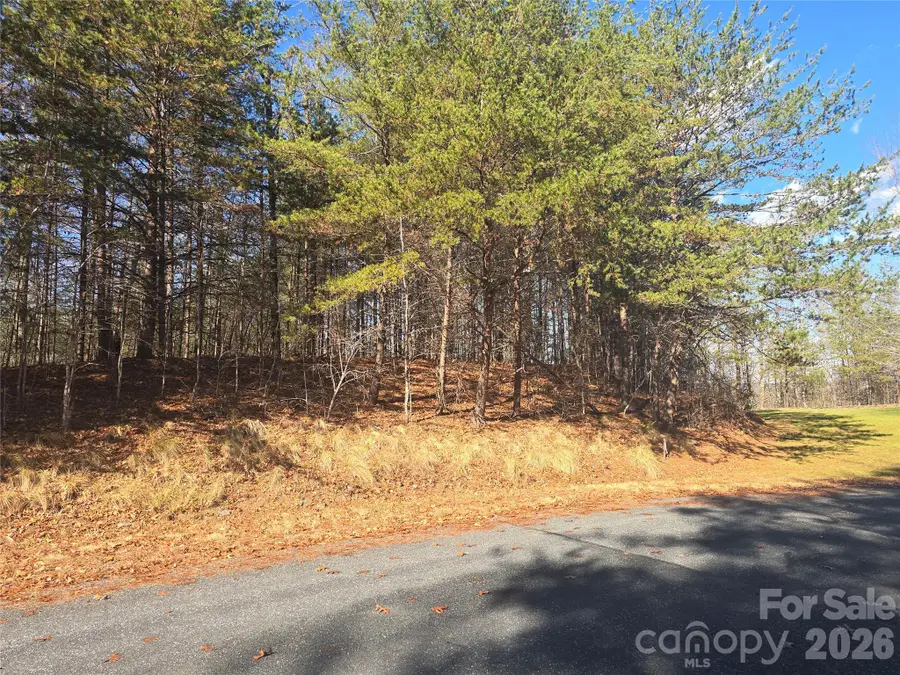 lot 60 Lake Adger Parkway #60, Mill Spring, NC 28756 - Image #2