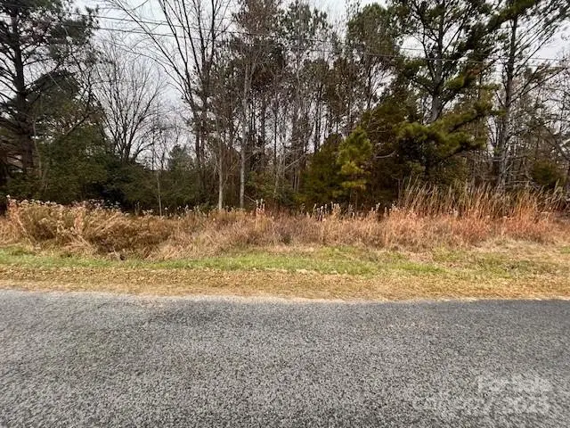 000 Ray Lee Street, Norwood, NC 28128 - Image #2