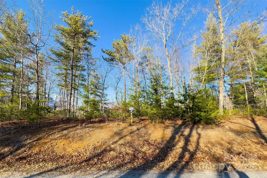 Lot #45 Fox Ridge Trail, Marion, NC 28752 - Image #2