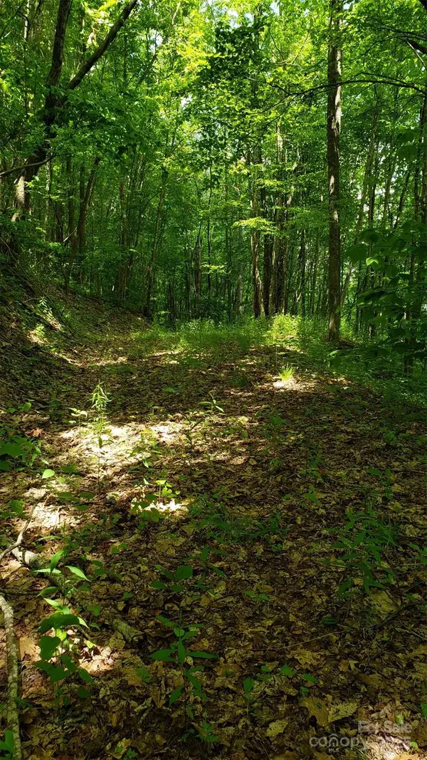 1111 E Clubhouse Road, Sylva, NC 28779