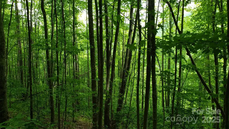 1111 E Clubhouse Road, Sylva, NC 28779 - Image #3