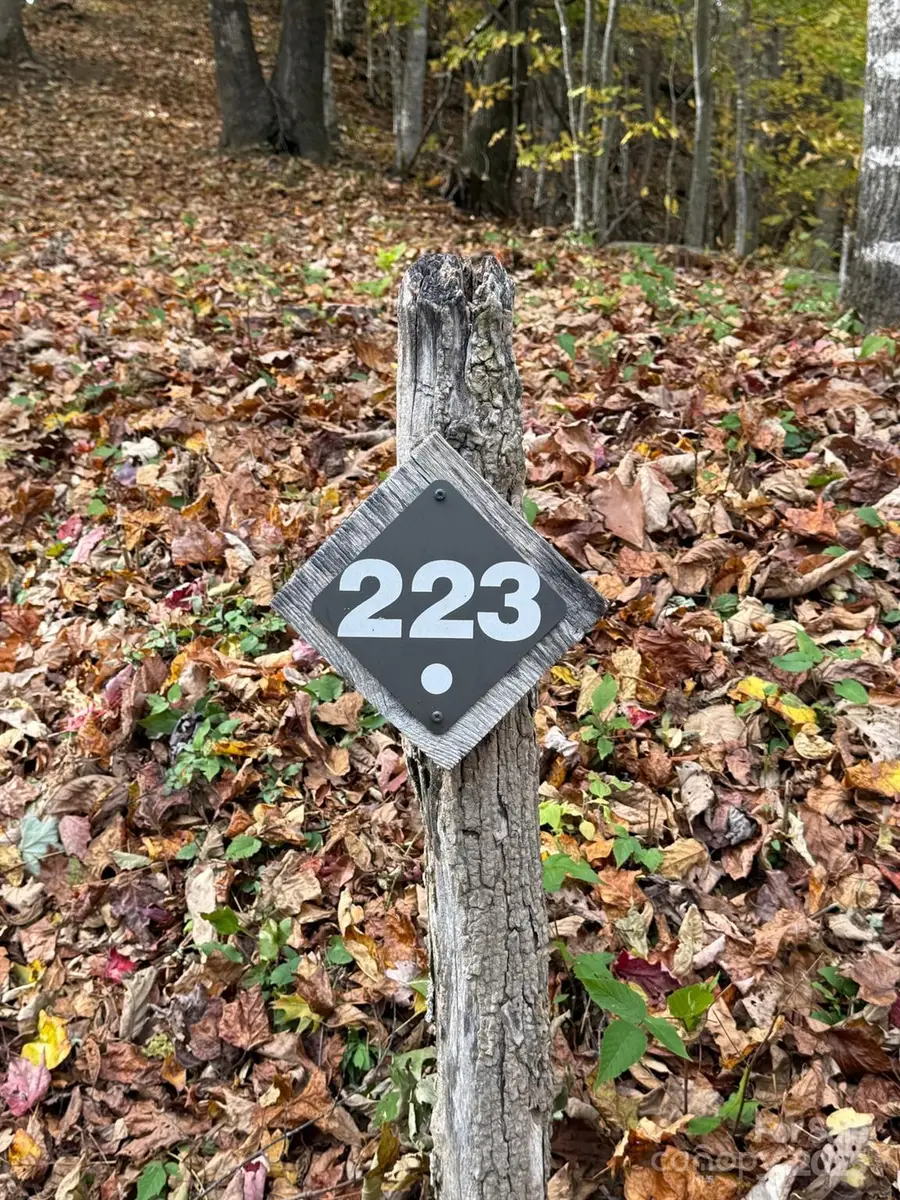 223 Flying Dutchman Road, Sylva, NC 28779 - Image #3