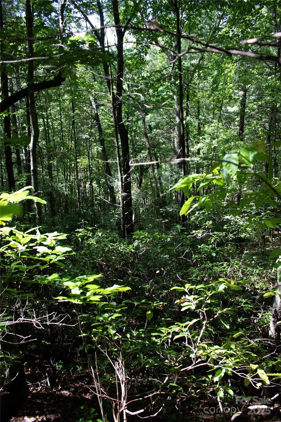 TBD Frozen Creek None #34, Brevard, NC 28712 - Image #3