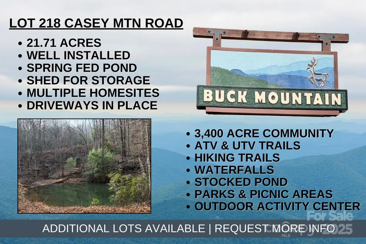 TBD Casey Mountain Road #218, Purlear, NC 28665 - Image #1