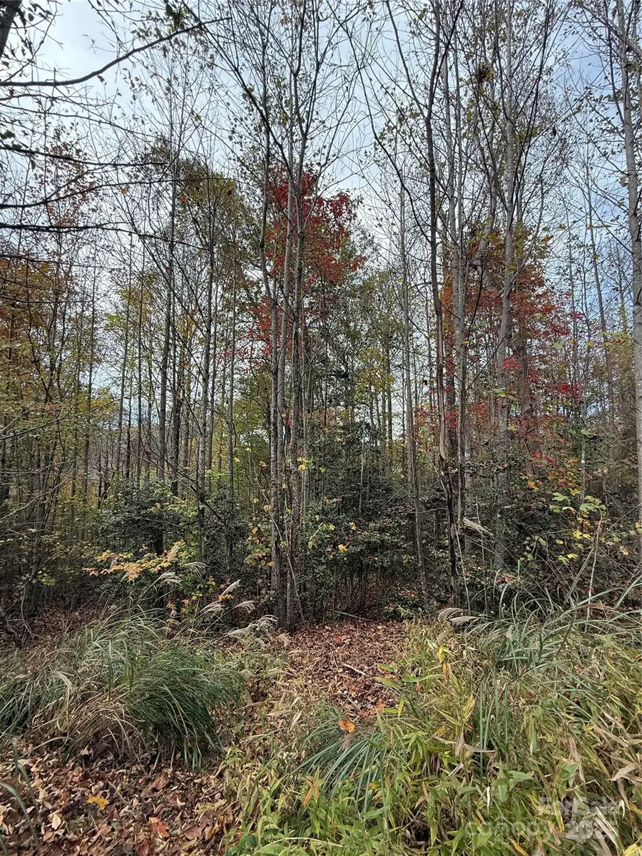 Lot # 7 West Legacy Drive #7, Hendersonville, NC 28739 - Image #2