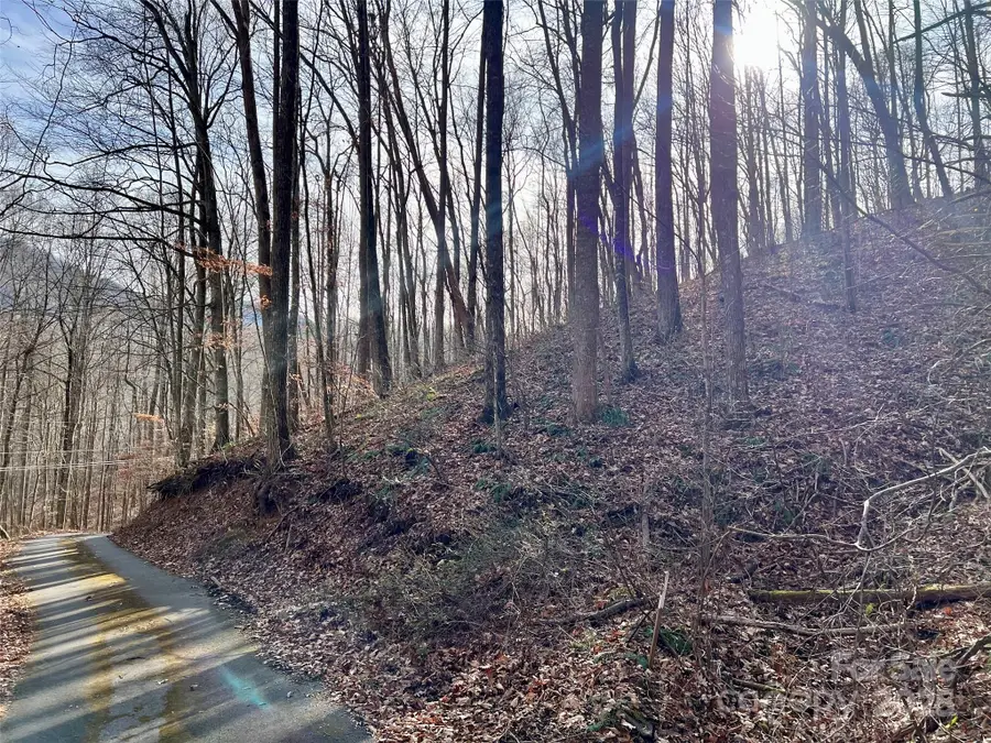 000 Heather Way #10, Waynesville, NC 28786 - Image #3