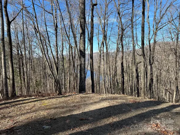 762 Scarlet Oak Road, Tuckasegee, NC 28783