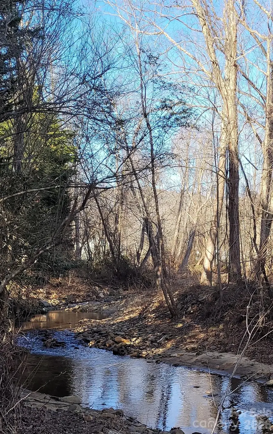 35 Cotton Creek Circle, Black Mountain, NC 28711 - #2