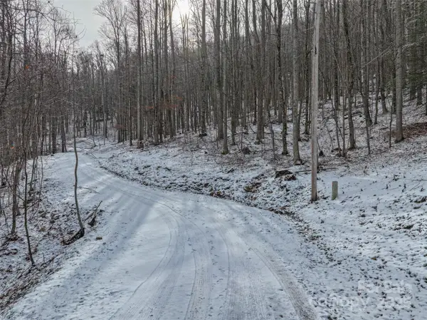 Lot 7B Hickory Springs Road #7B, Burnsville, NC 28714