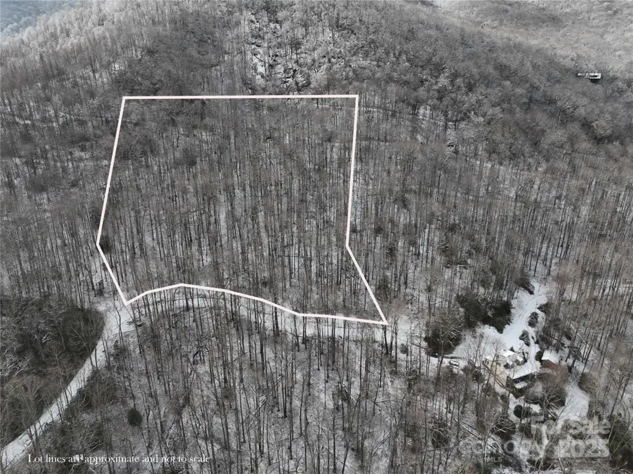 Lot 7B Hickory Springs Road #7B, Burnsville, NC 28714 - Image #2