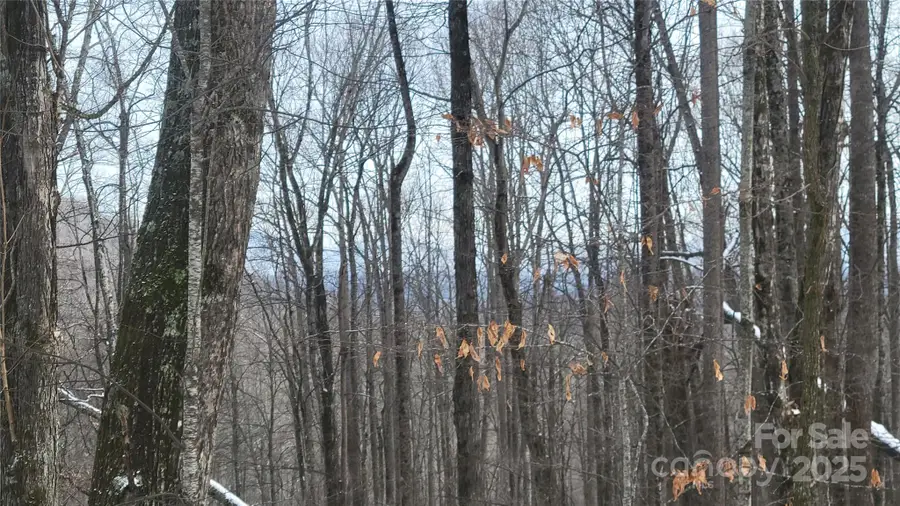 Lot 7B Hickory Springs Road #7B, Burnsville, NC 28714 - Image #3