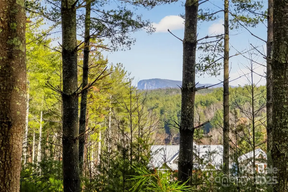 365 Peninsula Reserve Road #25, Nebo, NC 28761 - Image #1