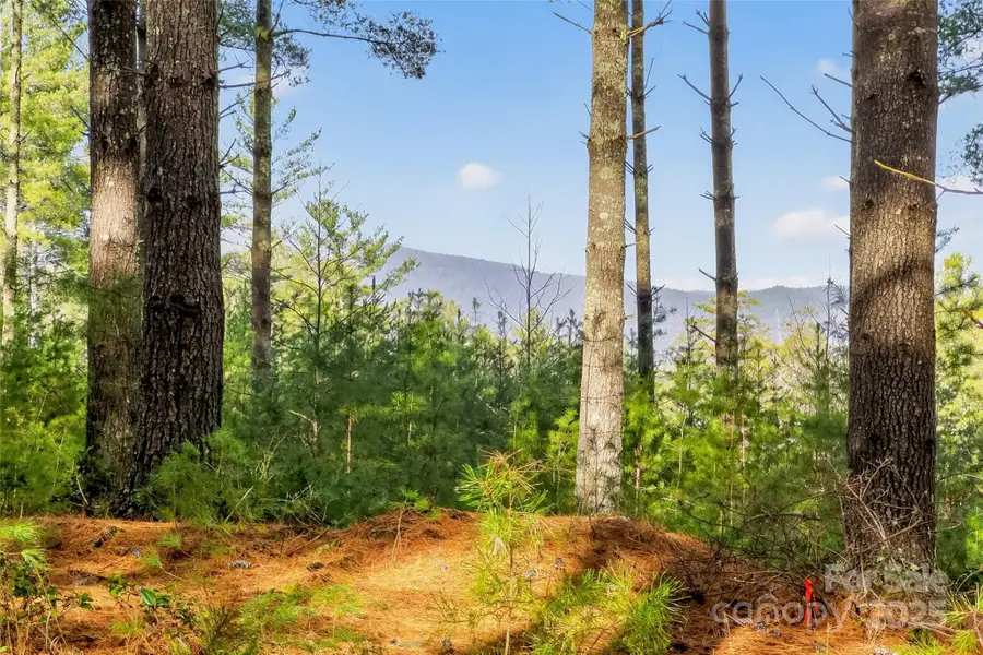 365 Peninsula Reserve Road #25, Nebo, NC 28761 - Image #2