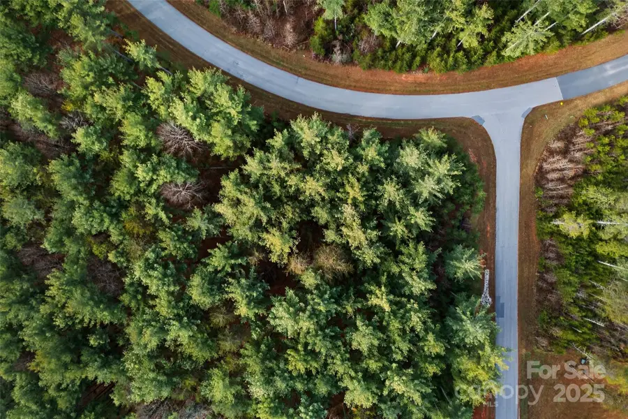 365 Peninsula Reserve Road #25, Nebo, NC 28761 - Image #3