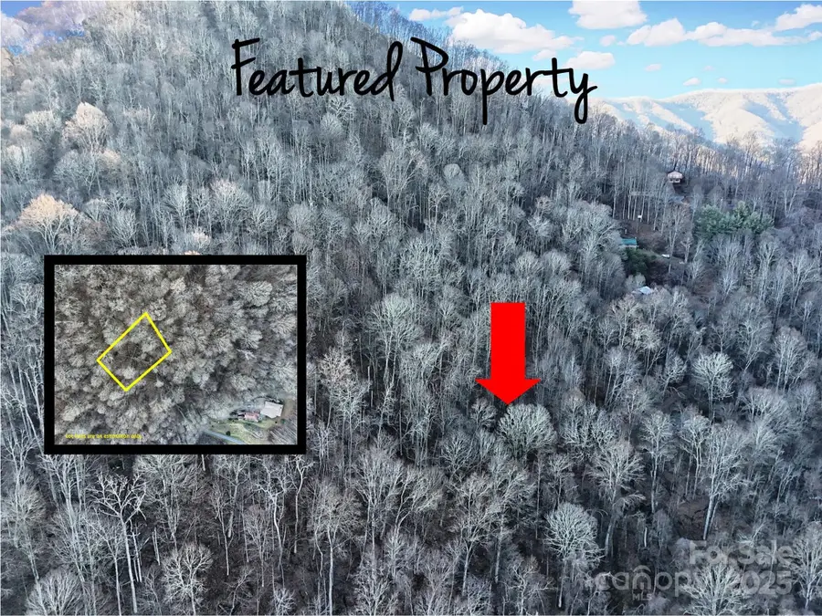 TBD Vireo Lane, Waynesville, NC 28785 - Image #2
