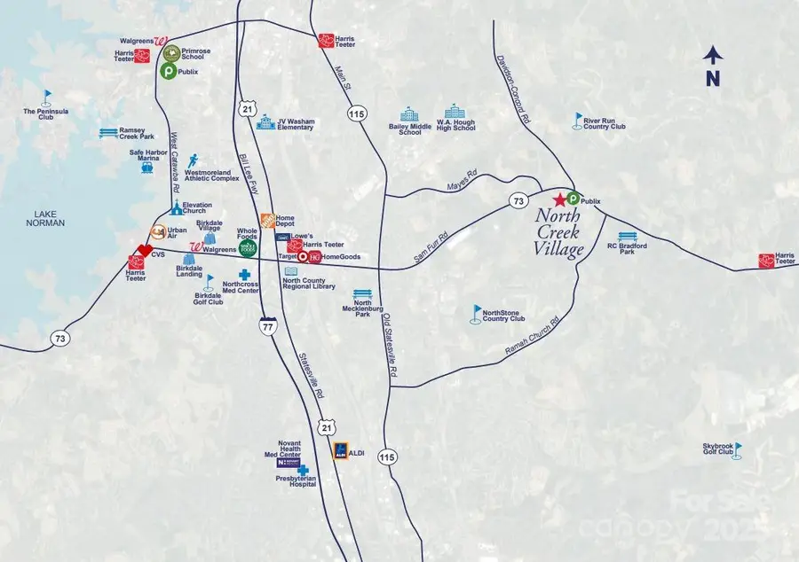 10110 Mamillion Drive, Huntersville, NC 28078 - Image #3