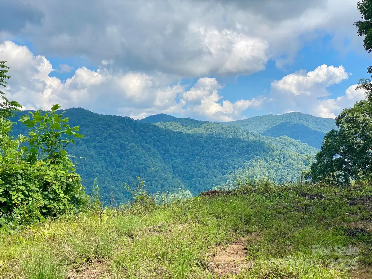 7858 Big Laurel Road, Marshall, NC 28753 - Image #1