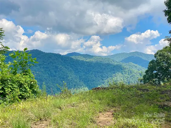 7858 Big Laurel Road, Marshall, NC 28753