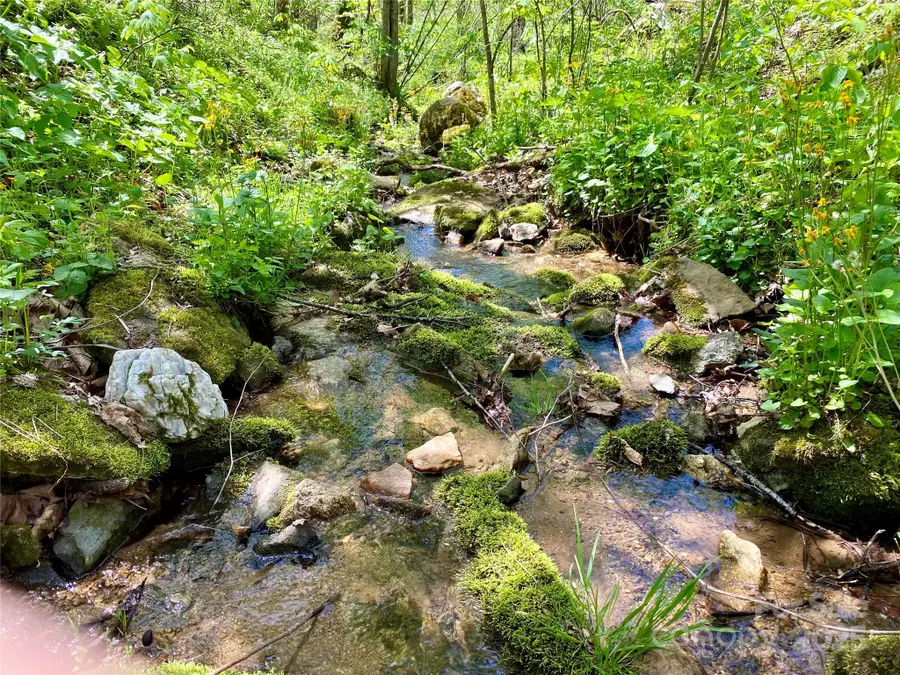 7858 Big Laurel Road, Marshall, NC 28753 - Image #3