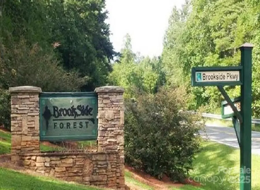 0 Brookside Parkway #43, Lake Lure, NC 28746 - Image #2