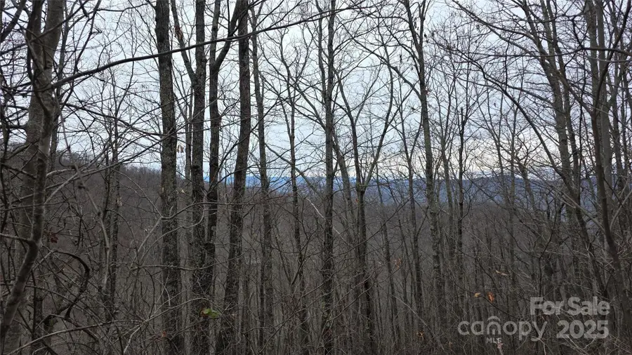 402 High Hickory Trail #51, Swannanoa, NC 28778 - Image #2
