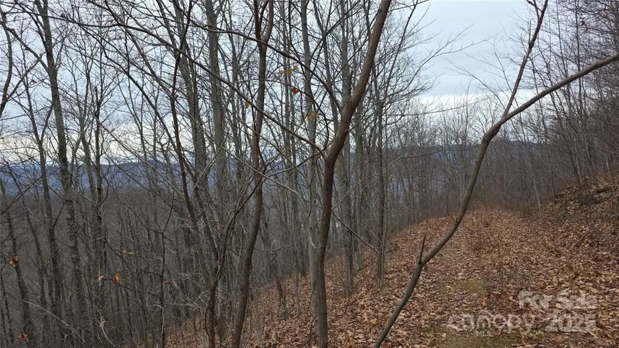 402 High Hickory Trail #51, Swannanoa, NC 28778 - Image #3