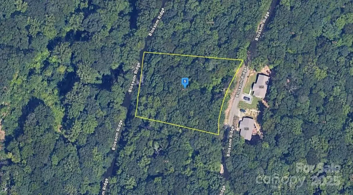 128 Blossom Ridge, Leicester, NC 28748 - Image #1