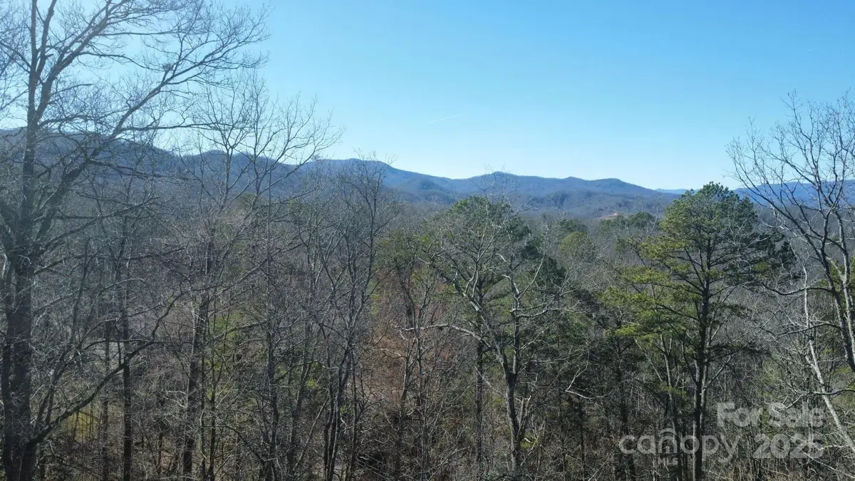 000 Hornet Drive, Whittier, NC 28789 - Image #1