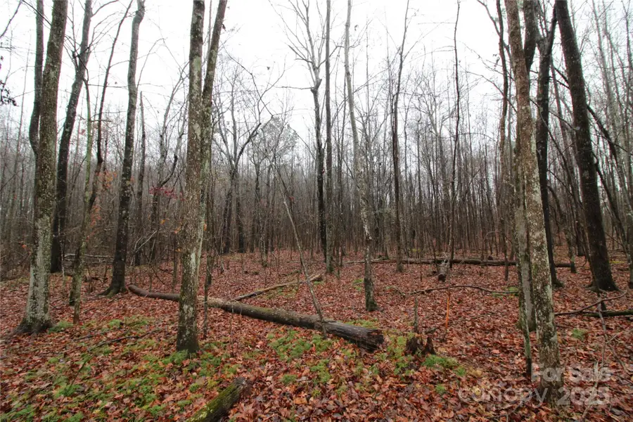 5+/-AC Eaker Road #LOT 1, Kings Mountain, NC 28086 - Image #3