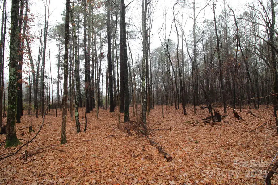 4+/-AC Neal Road #LOT 5, Kings Mountain, NC 28086 - Image #3