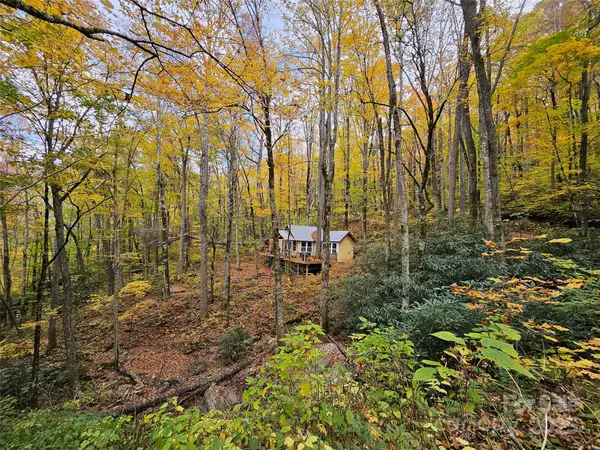 25 Hollow Log Road, Burnsville, NC 28714