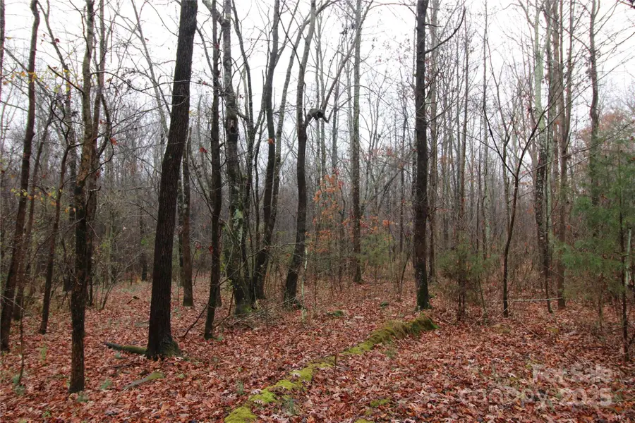 3+/-AC LOT 8 Eaker Road, Kings Mountain, NC 28086 - Image #3