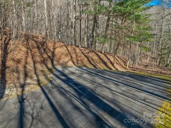 TBD Ladys Fern Trail #10, Laurel Park, NC 28739