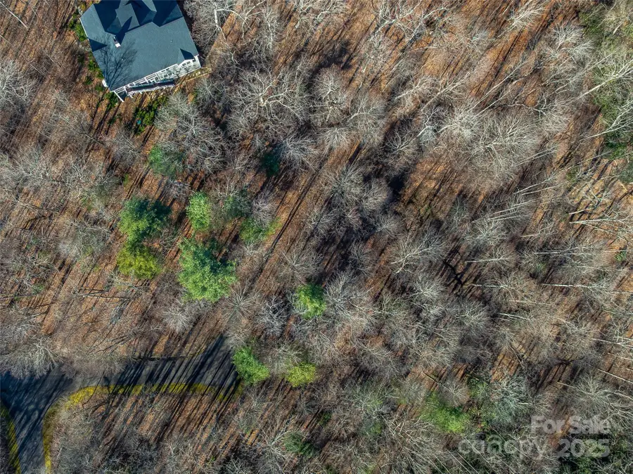 TBD Ladys Fern Trail #10, Laurel Park, NC 28739 - Image #2