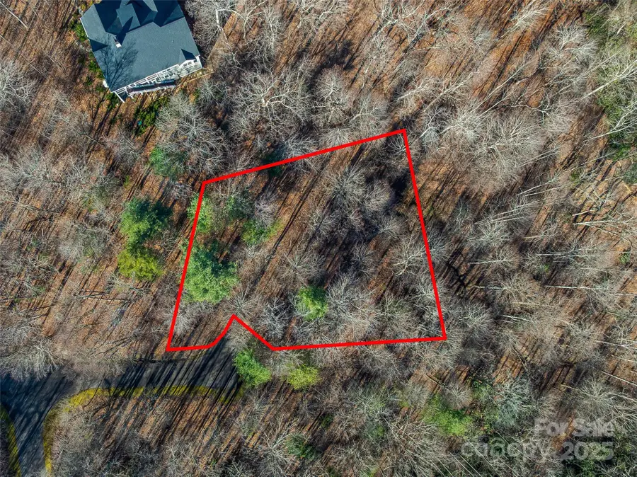 TBD Ladys Fern Trail #10, Laurel Park, NC 28739 - Image #3